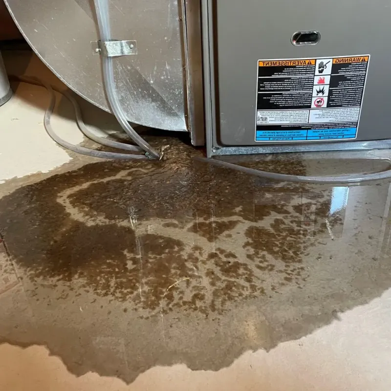Pipe Burst and Leak Restoration in Union City, OK