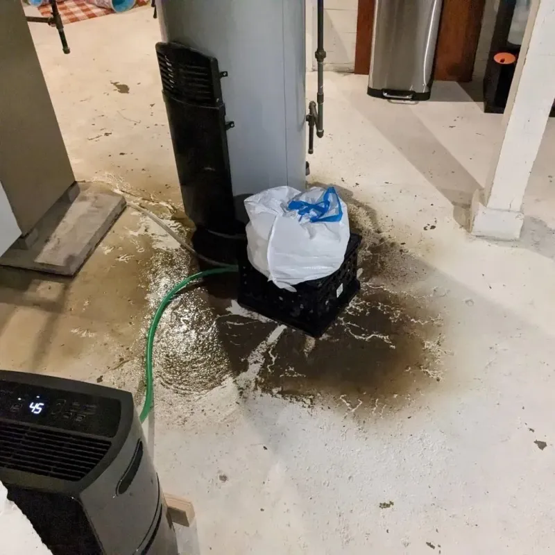 Sewage Backup Cleanup Service in Union City, OK